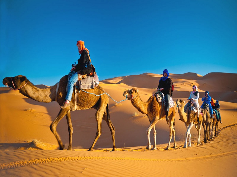 royal desert tourism llc
